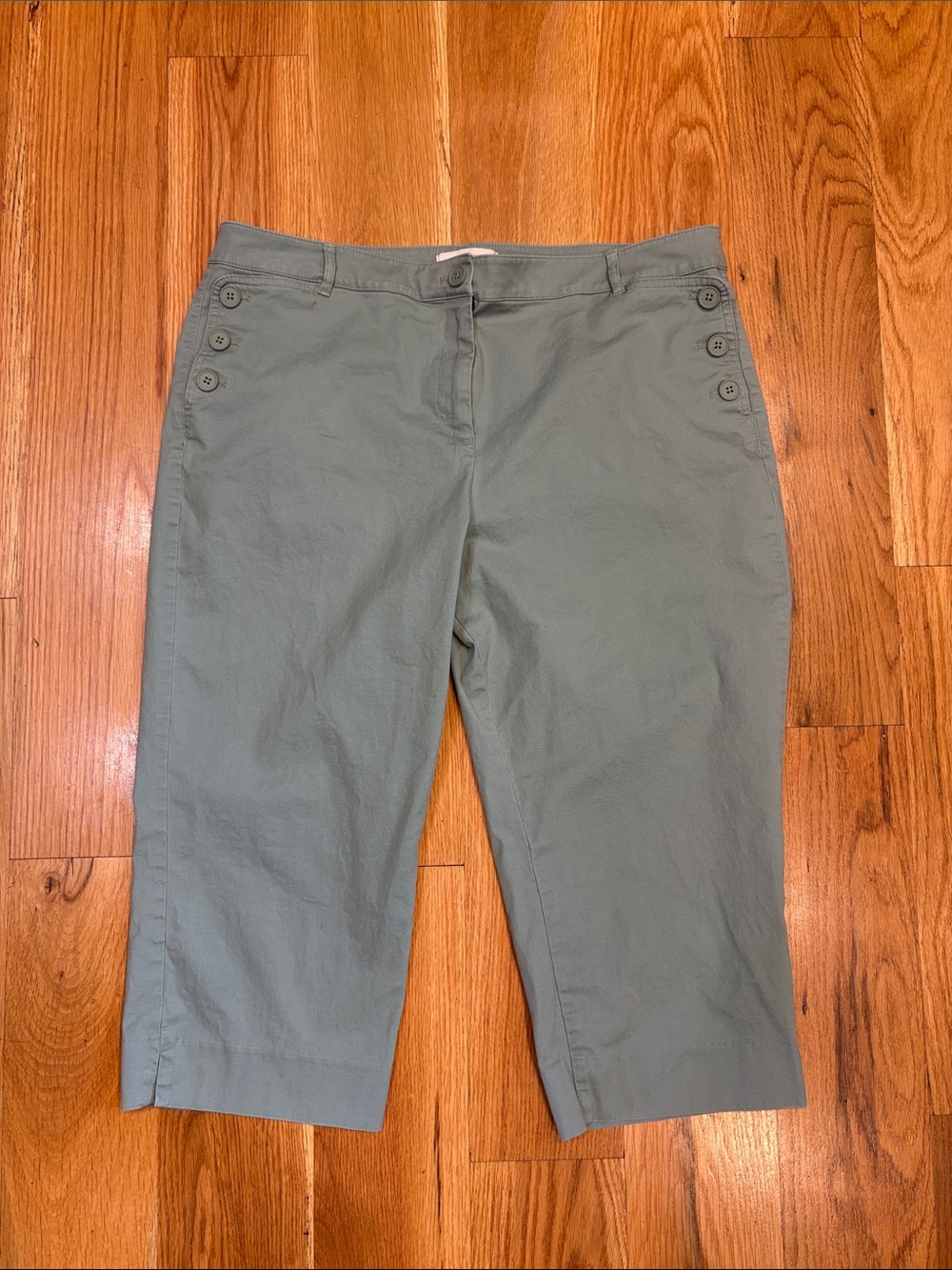 Talbots Capri Pants, Size 16P